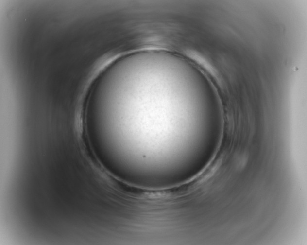 X0000099561415200805231503