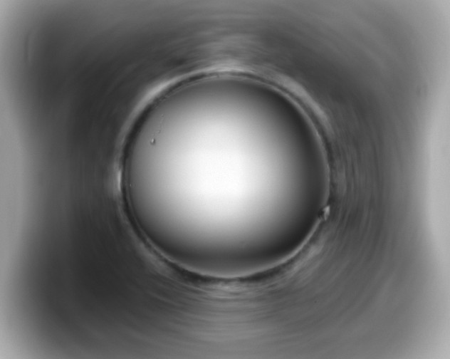 X0000099561416200805231503