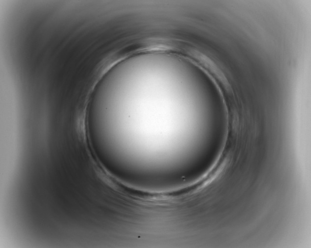 X0000099561417200805231503