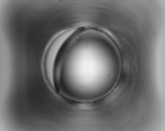 X0000099561418200805231503