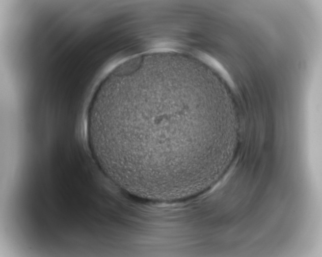 X0000099561419200805231503