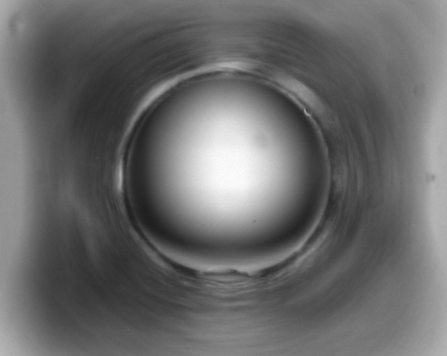 X0000099561420200805231503