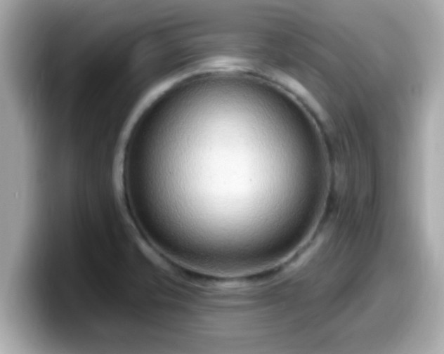 X0000099561421200805231503