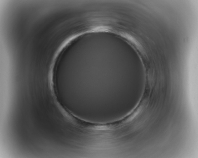 X0000099561422200805231503