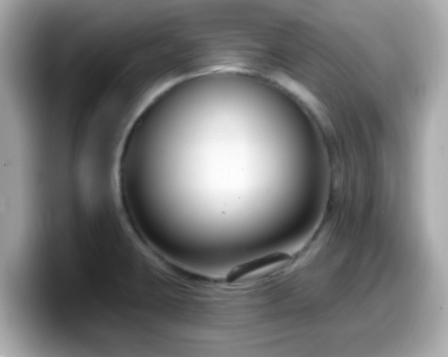 X0000099561423200805231503