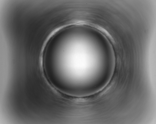 X0000099561424200805231503