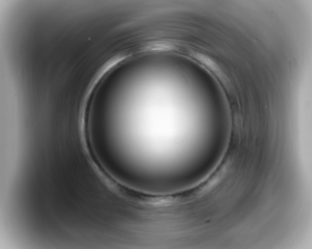 X0000099561426200805231503