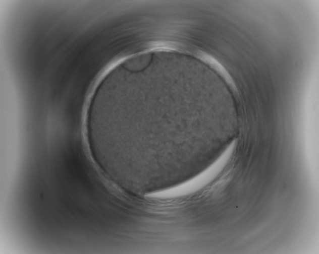 X0000099561427200805231503