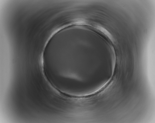 X0000099561428200805231503