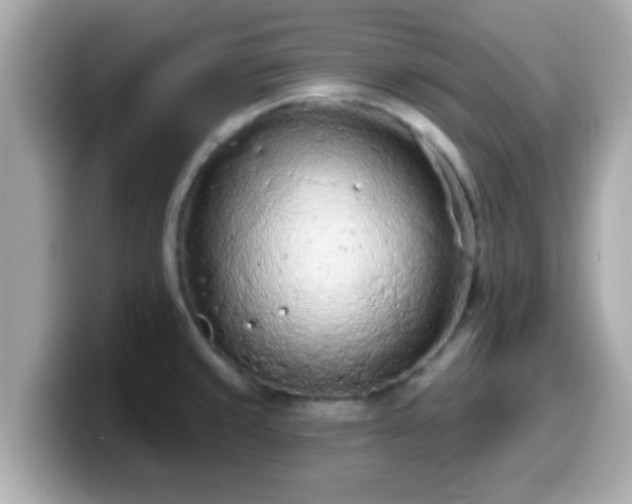 X0000099561429200805231503