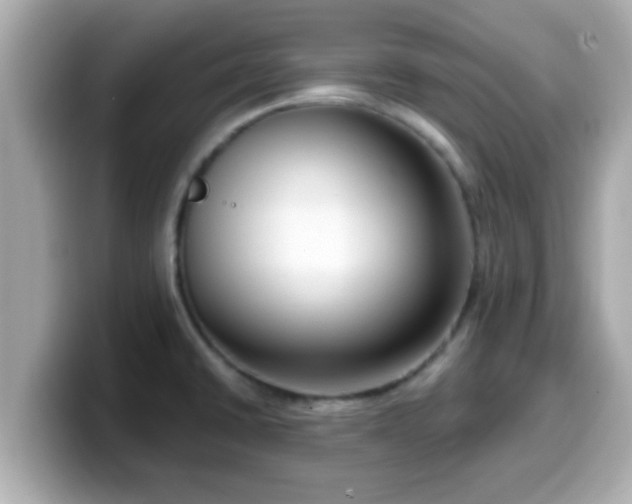 X0000099561430200805231503