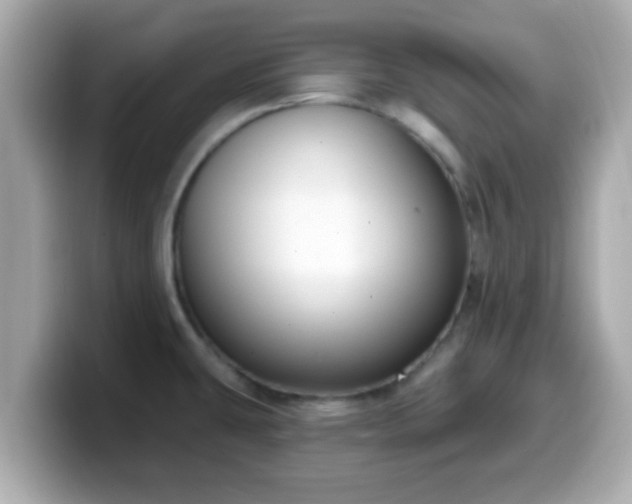 X0000099561431200805231503