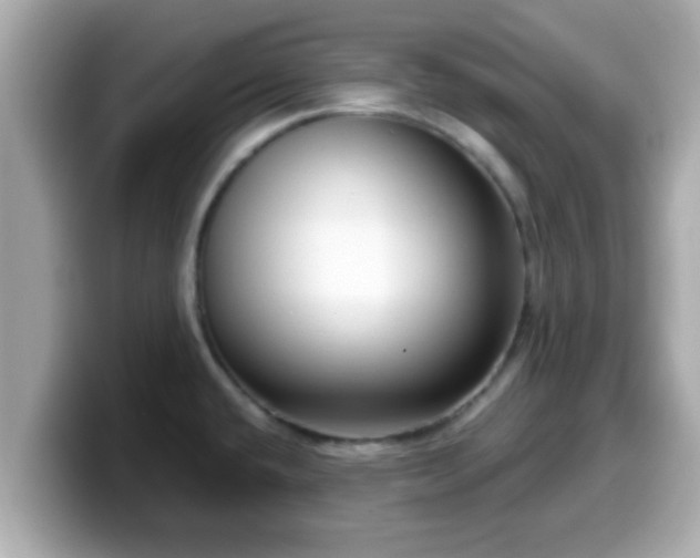 X0000099561432200805231503