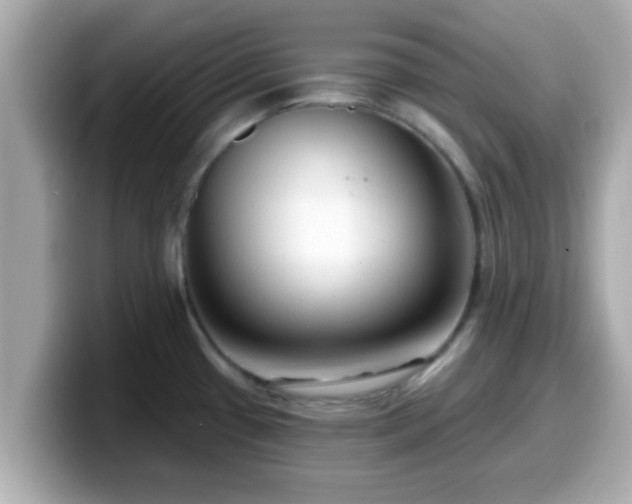 X0000099561433200805231503