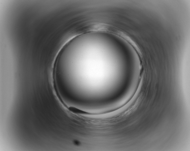 X0000099561434200805231503