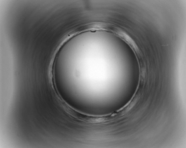 X0000099561435200805231503