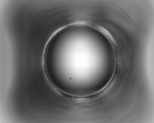 X0000099561436200805231503