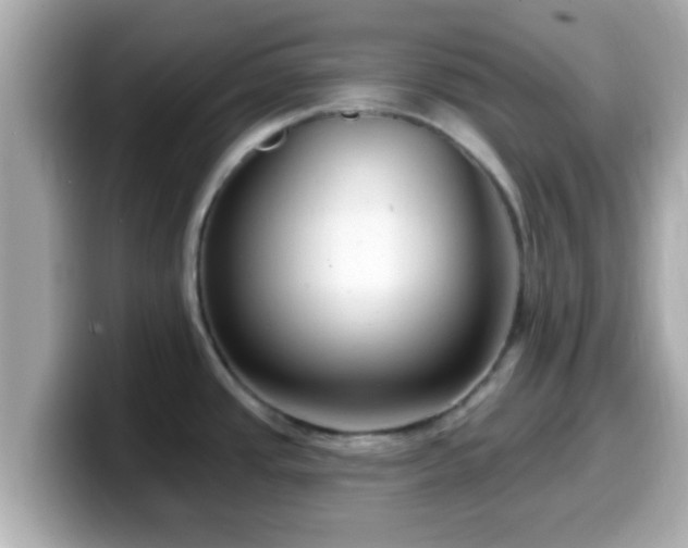 X0000099561437200805231504