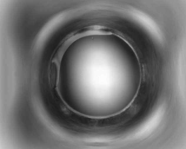 X0000099561438200805231504