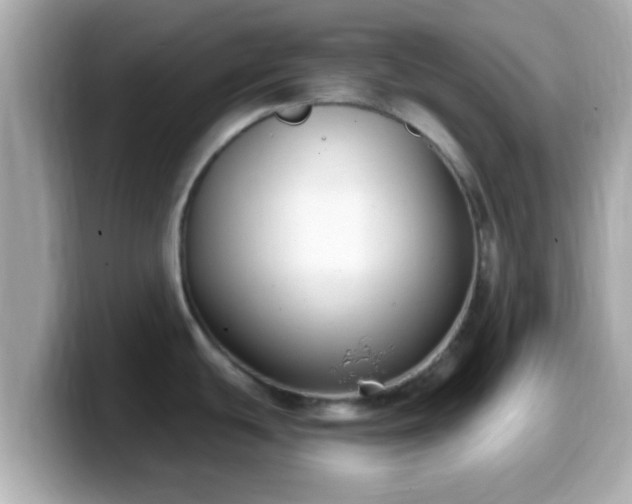 X0000099561439200805231504