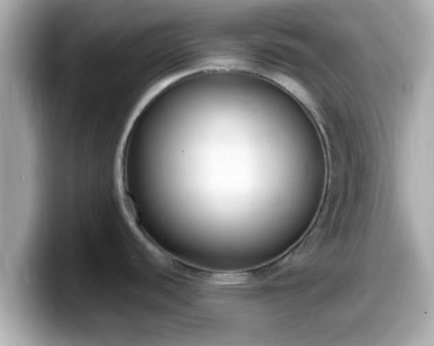 X0000099561440200805231504