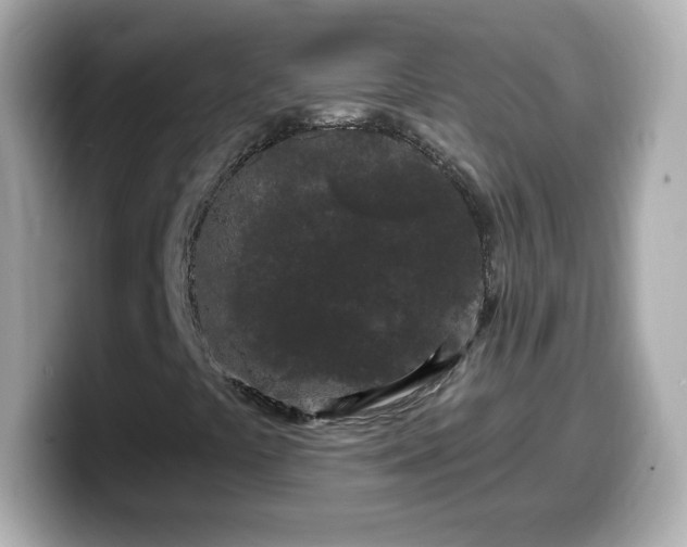 X0000099561441200805231503