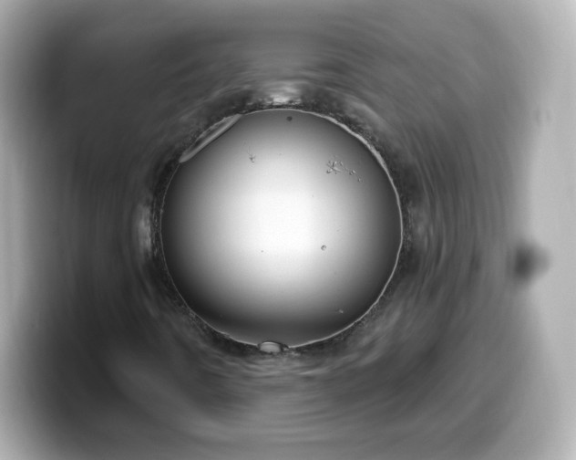 X0000099561442200805231503