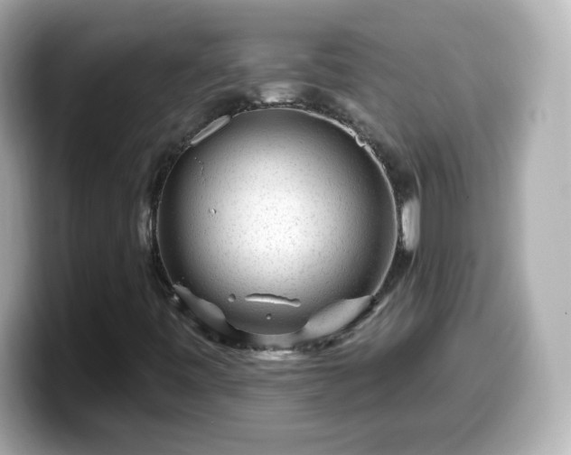 X0000099561443200805231503