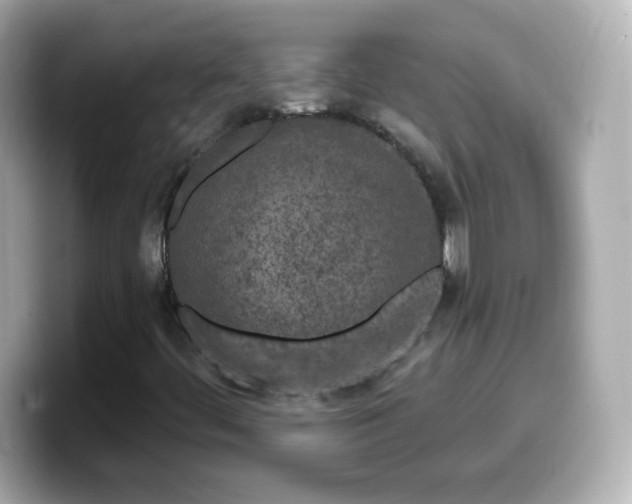 X0000099561444200805231503