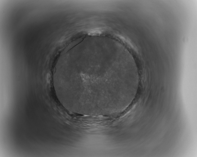 X0000099561445200805231503