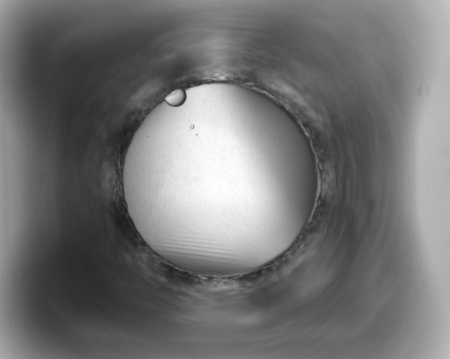 X0000099561446200805231503