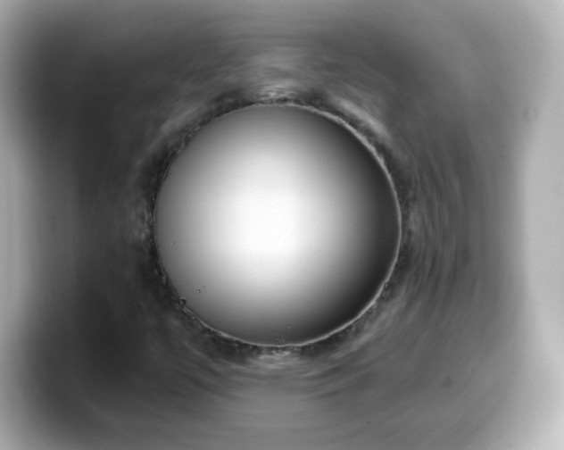 X0000099561447200805231503