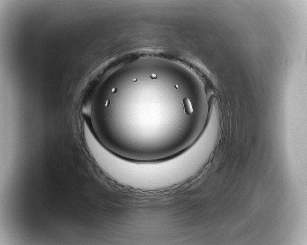 X0000099561448200805231503