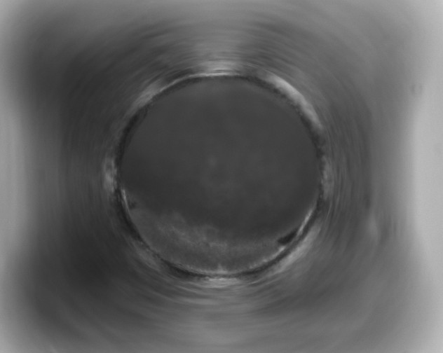 X0000099561449200805231503