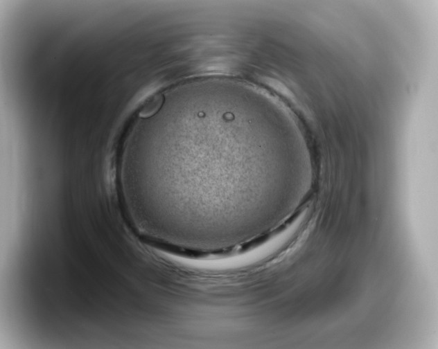 X0000099561450200805231503