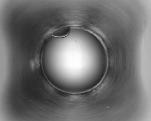 X0000099561451200805231503