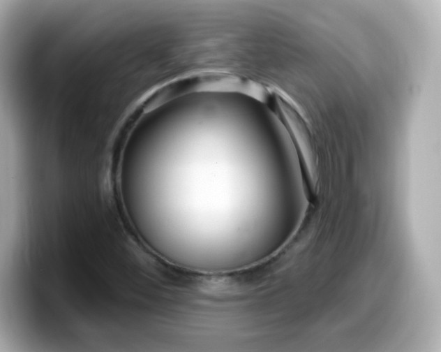 X0000099561452200805231503