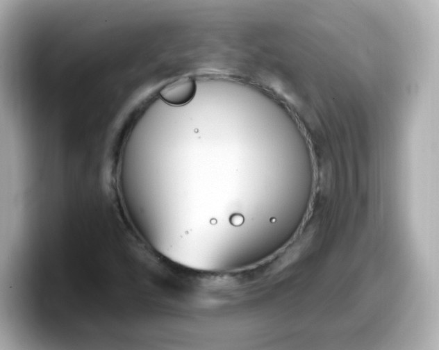 X0000099561454200805231503