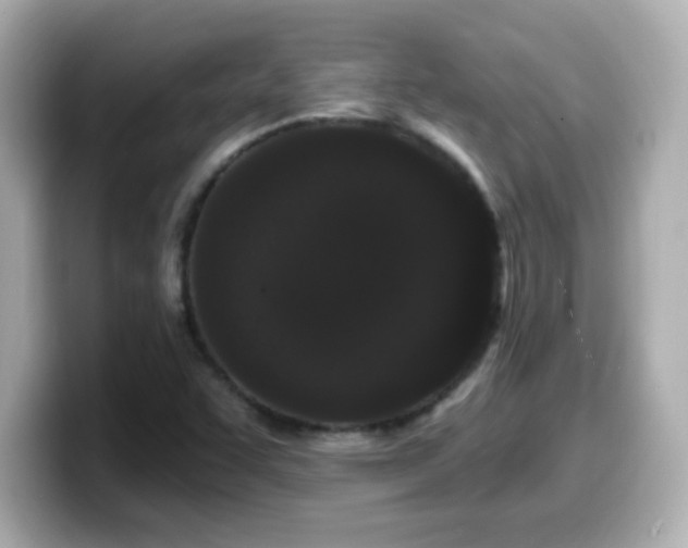 X0000099561455200805231503