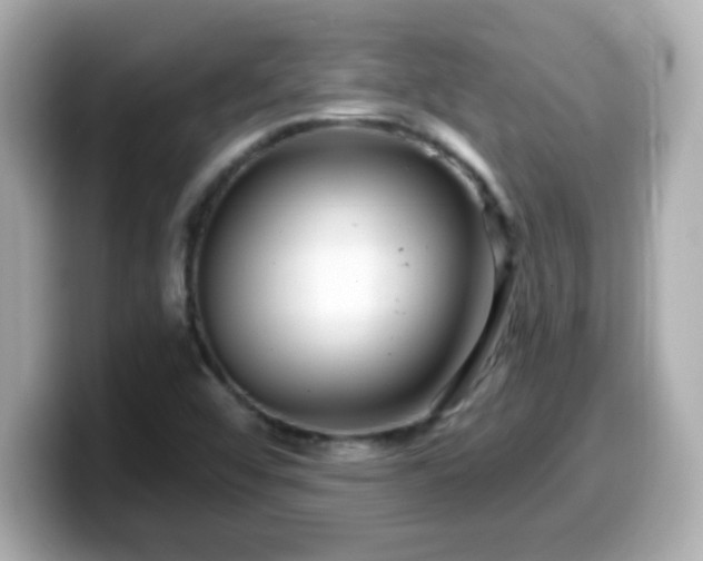 X0000099561456200805231503