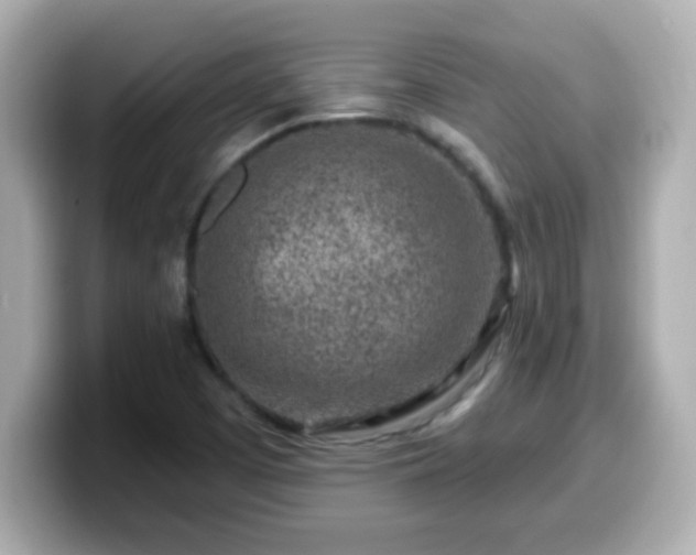 X0000099561457200805231503