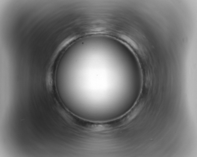 X0000099561458200805231503