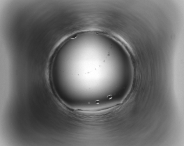 X0000099561460200805231503