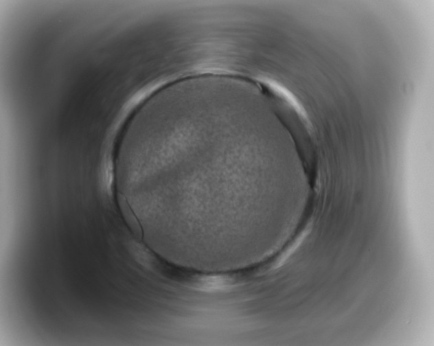 X0000099561461200805231503