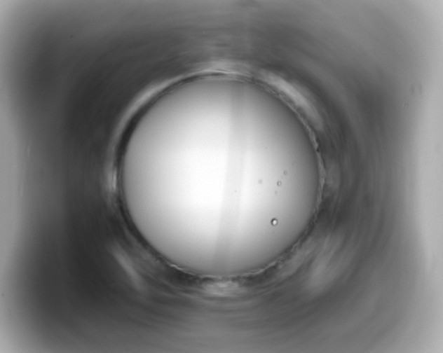 X0000099561462200805231503