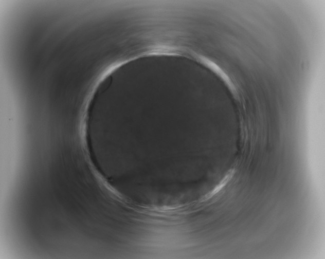 X0000099561463200805231503