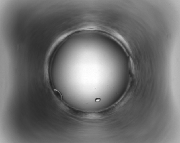 X0000099561464200805231503