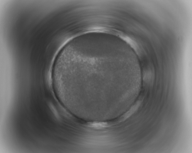 X0000099561466200805231503