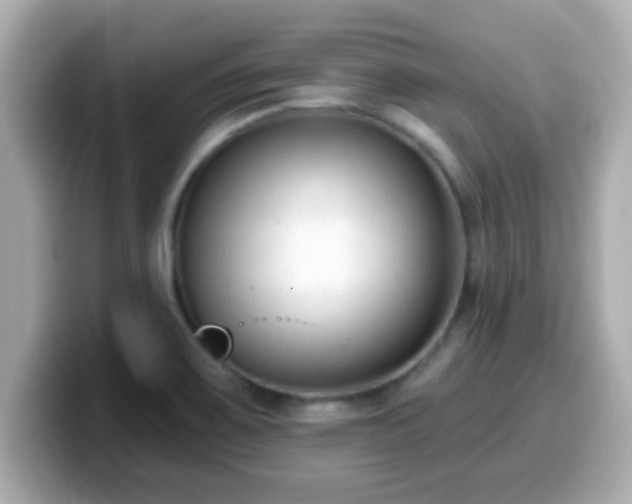 X0000099561467200805231503