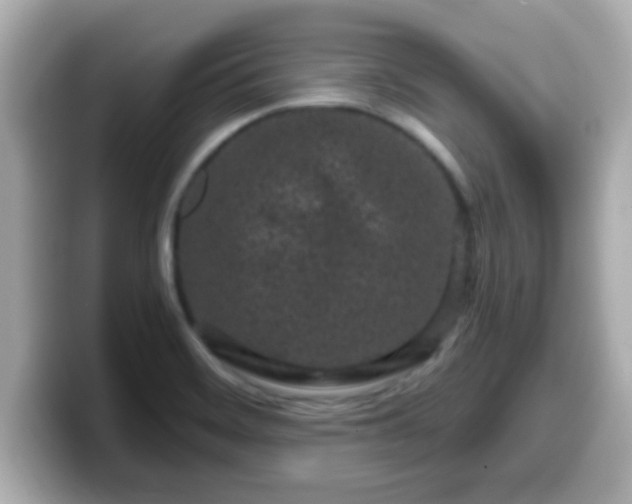 X0000099561468200805231503